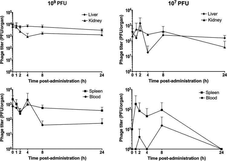 FIG 4