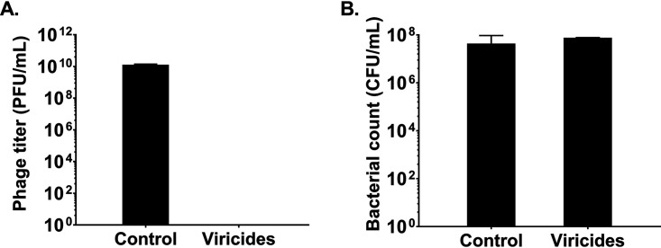 FIG 2