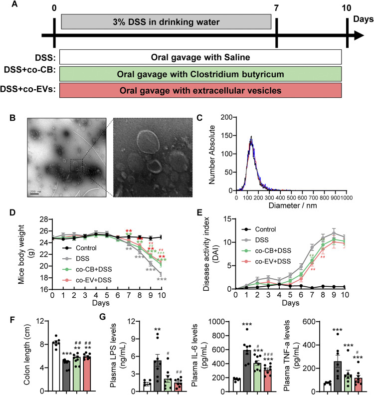 FIG 6