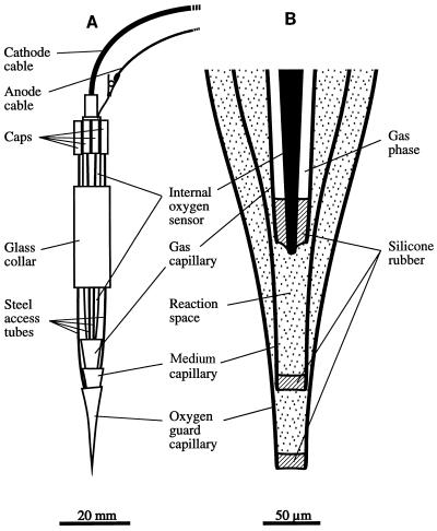 FIG. 1