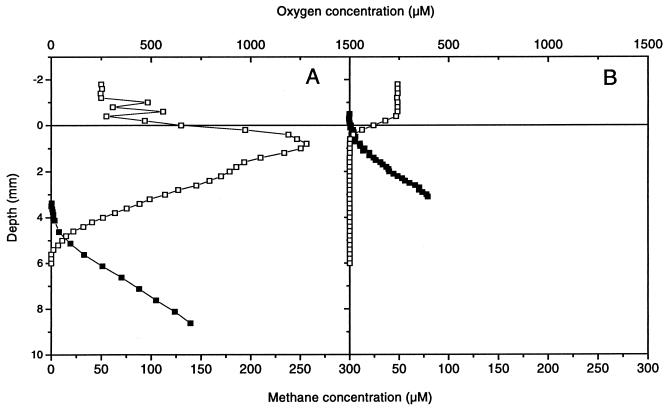 FIG. 6