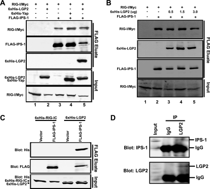 FIG. 4.