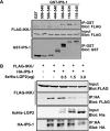 FIG. 7.