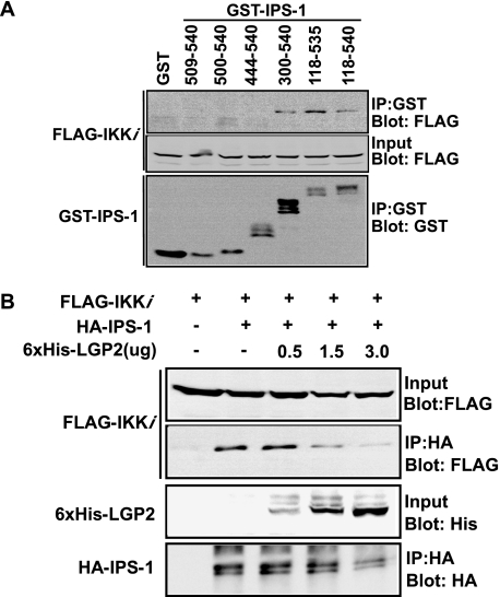 FIG. 7.