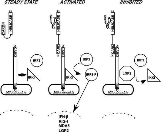 FIG. 8.