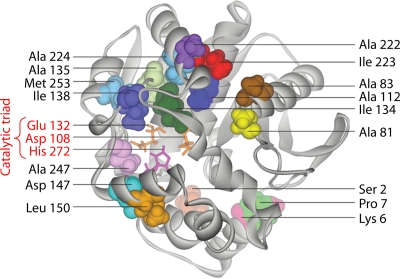 FIG. 9.