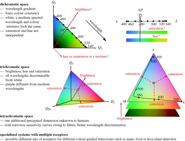 Figure 1.