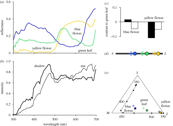 Figure 2.