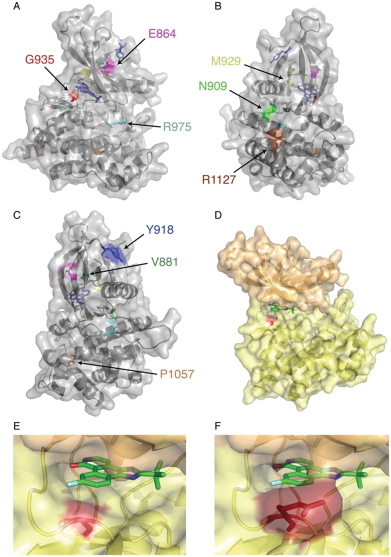 Figure 9