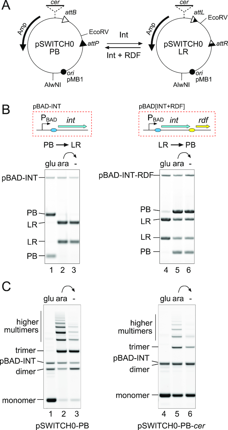 Figure 2.