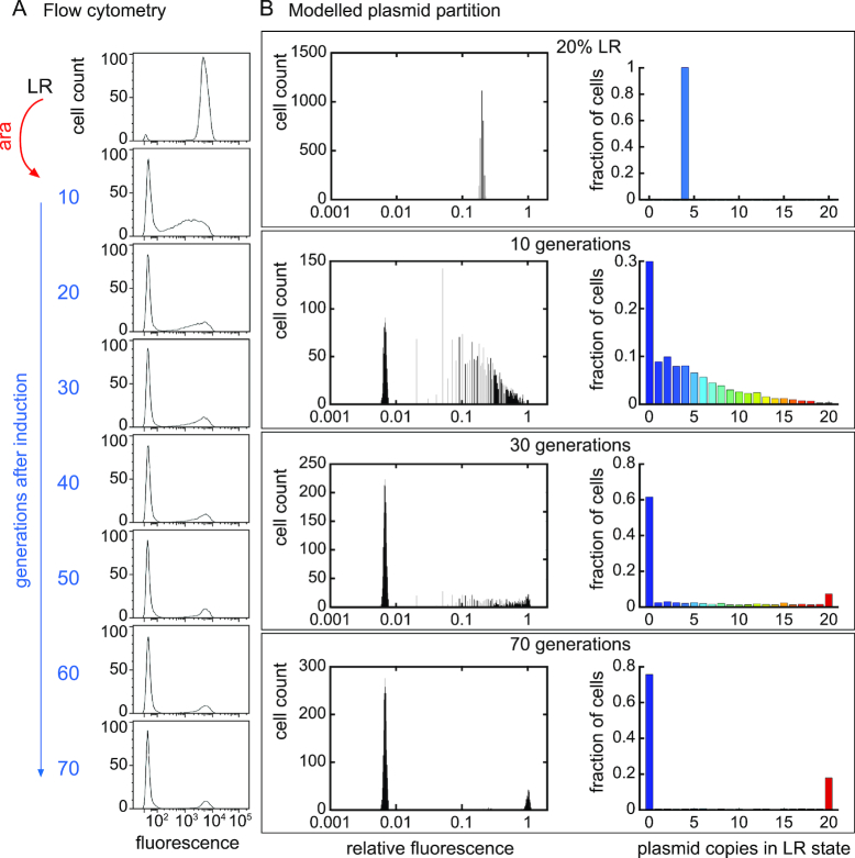 Figure 7.