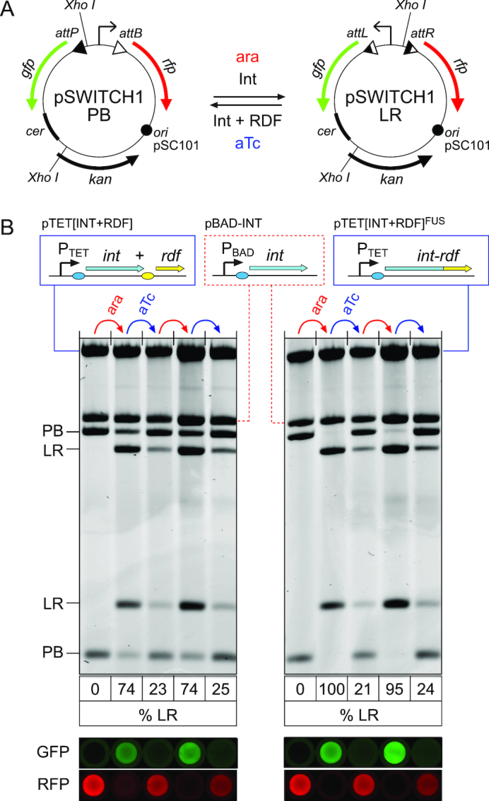 Figure 3.