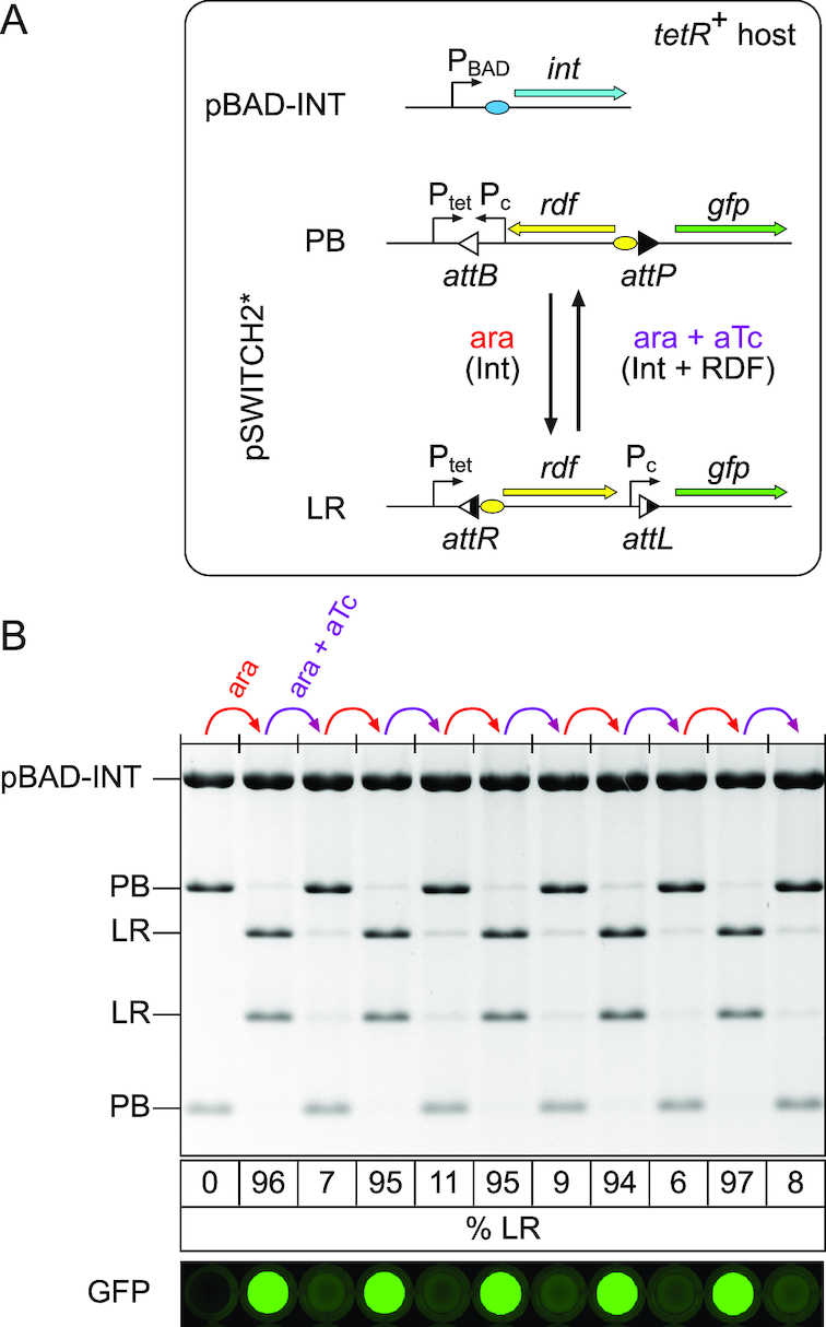 Figure 4.