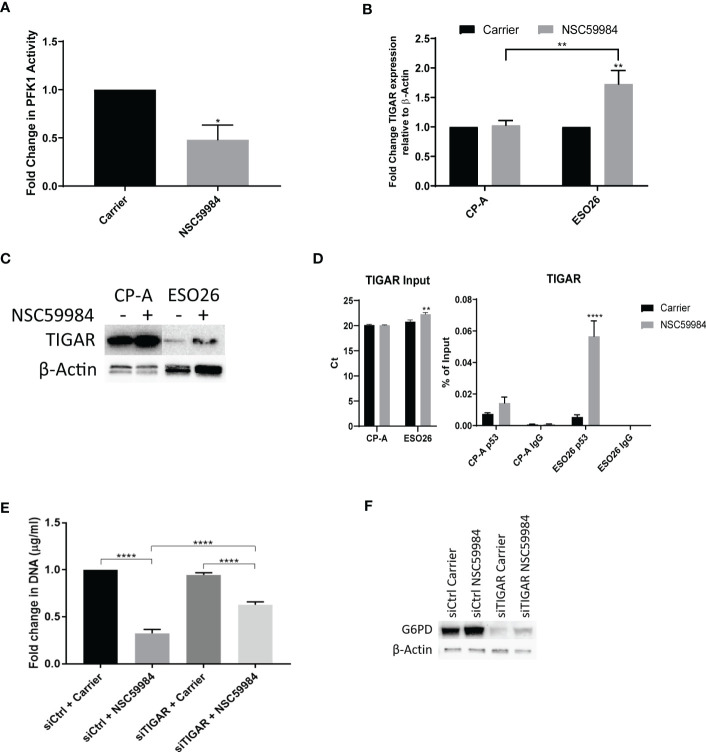 Figure 7