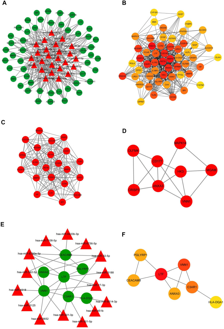 FIGURE 6