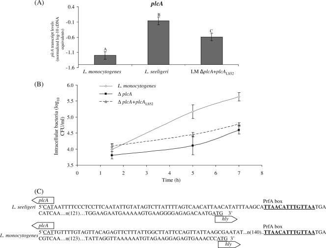 FIG. 7.