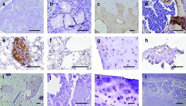 FIG. 8.