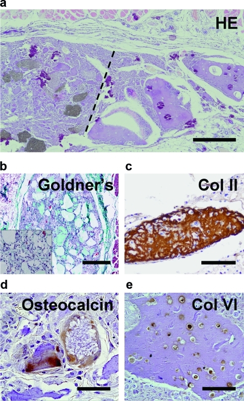 FIG. 7.