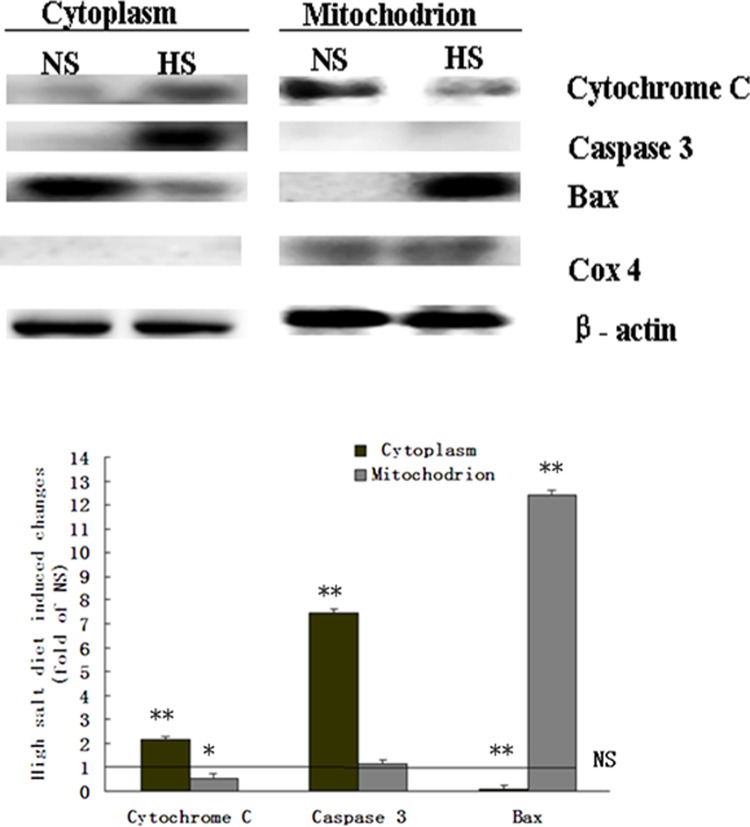 Figure 5.