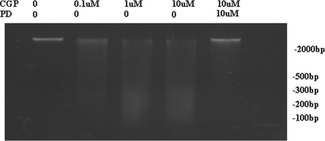 Figure 7.