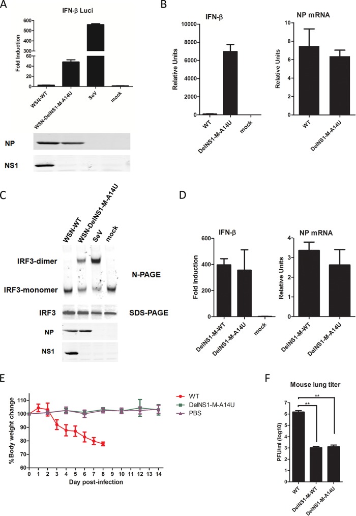 FIG 3