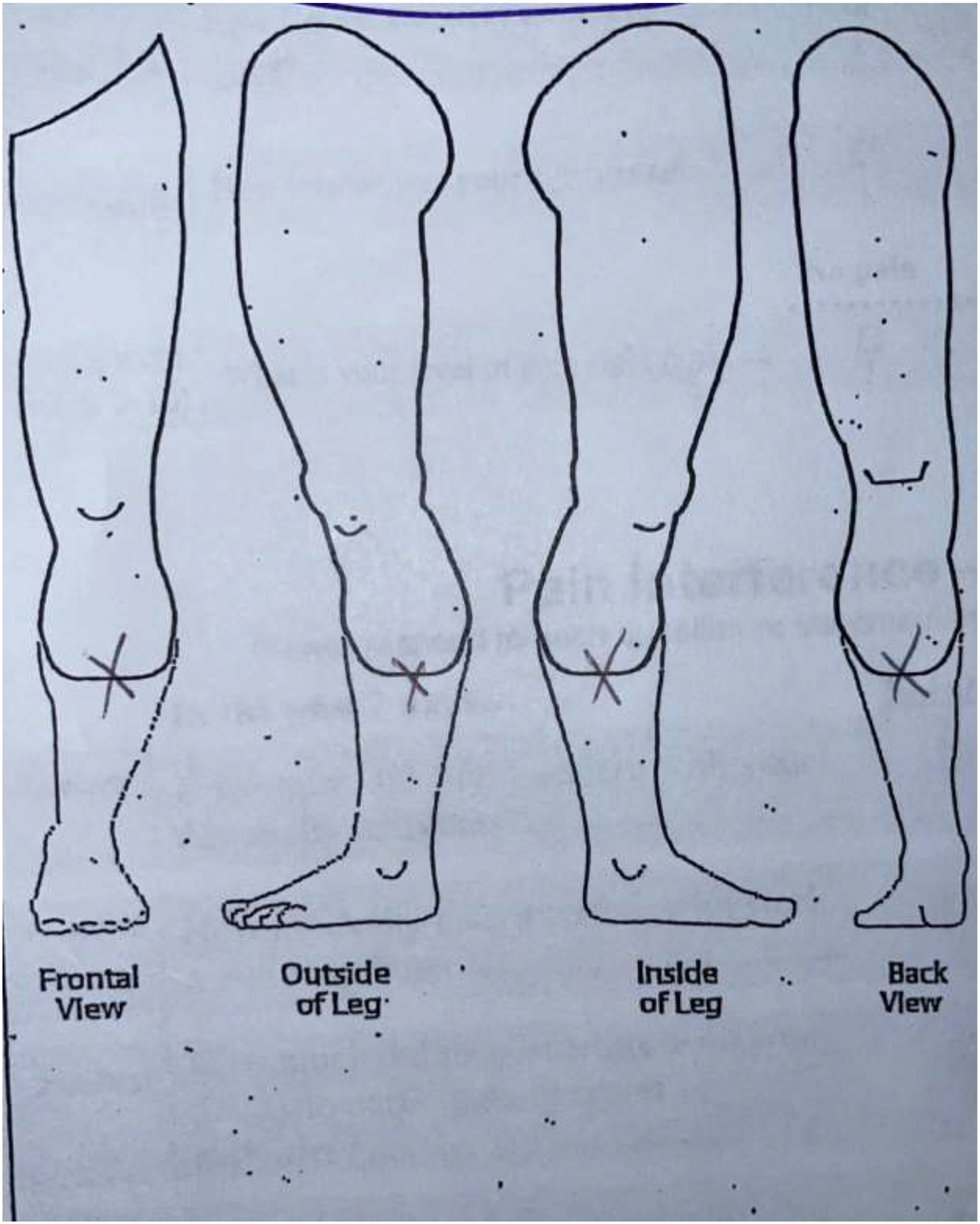 Figure 2a.