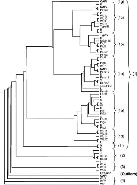 FIG. 2.