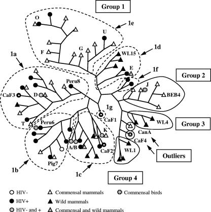 FIG. 3.