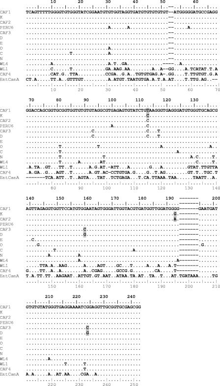 FIG. 1.