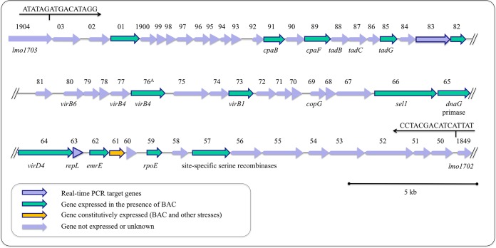 FIG 4