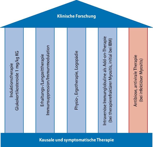 graphic file with name 15202_2022_5546_Fig2_HTML.jpg