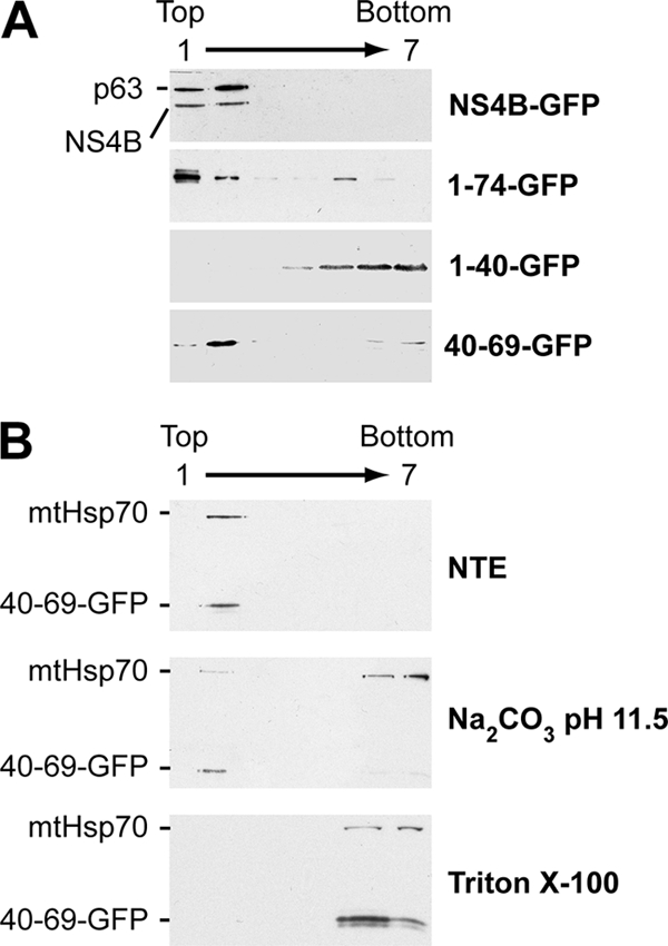 FIG. 3.