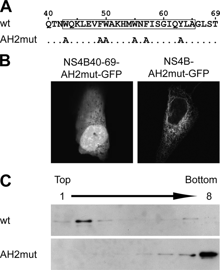 FIG. 6.