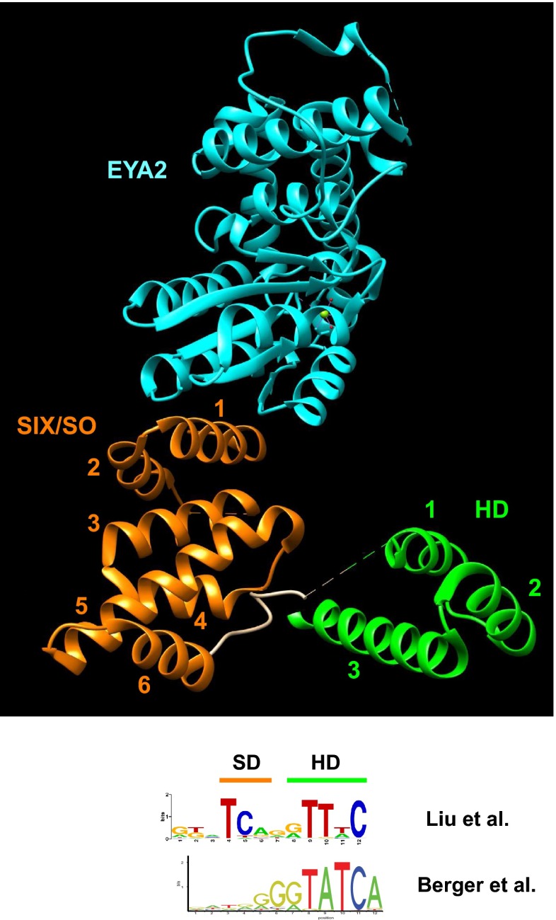 Fig. 7