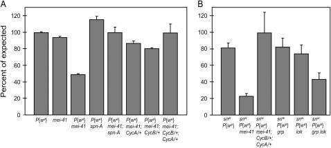 Figure 1.—