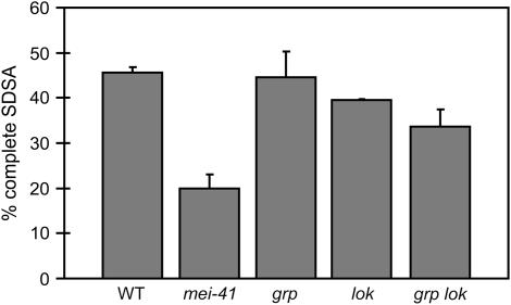 Figure 3.—