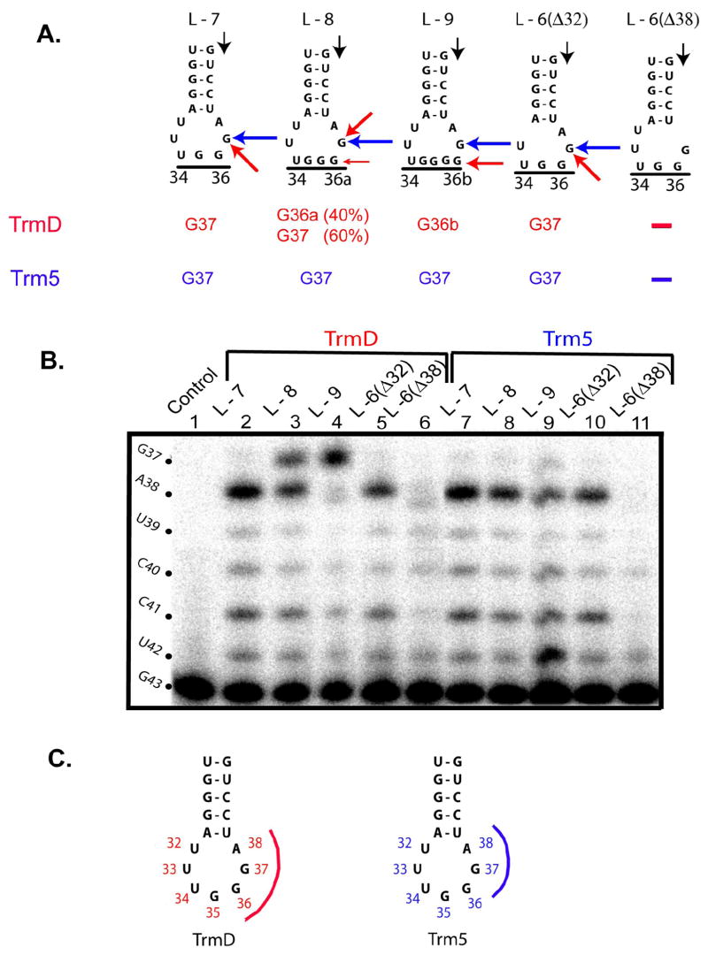 Fig.2