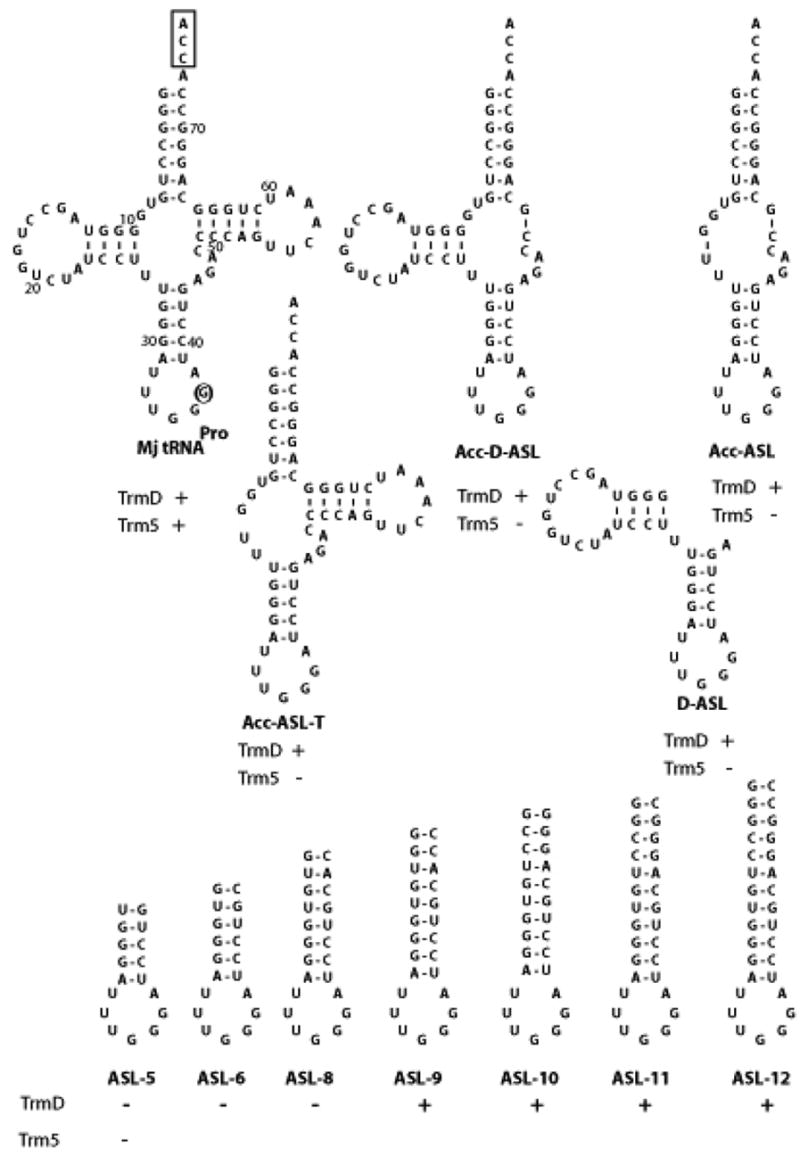 Fig.1