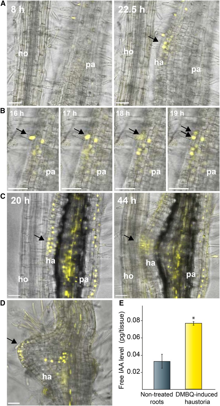 Figure 6.