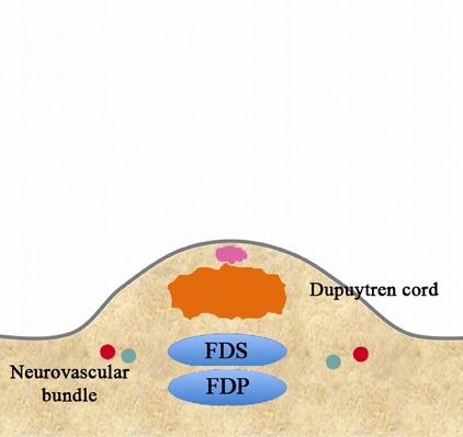 Fig. 3-E