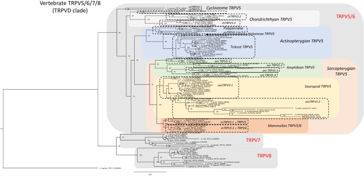 Figure 6