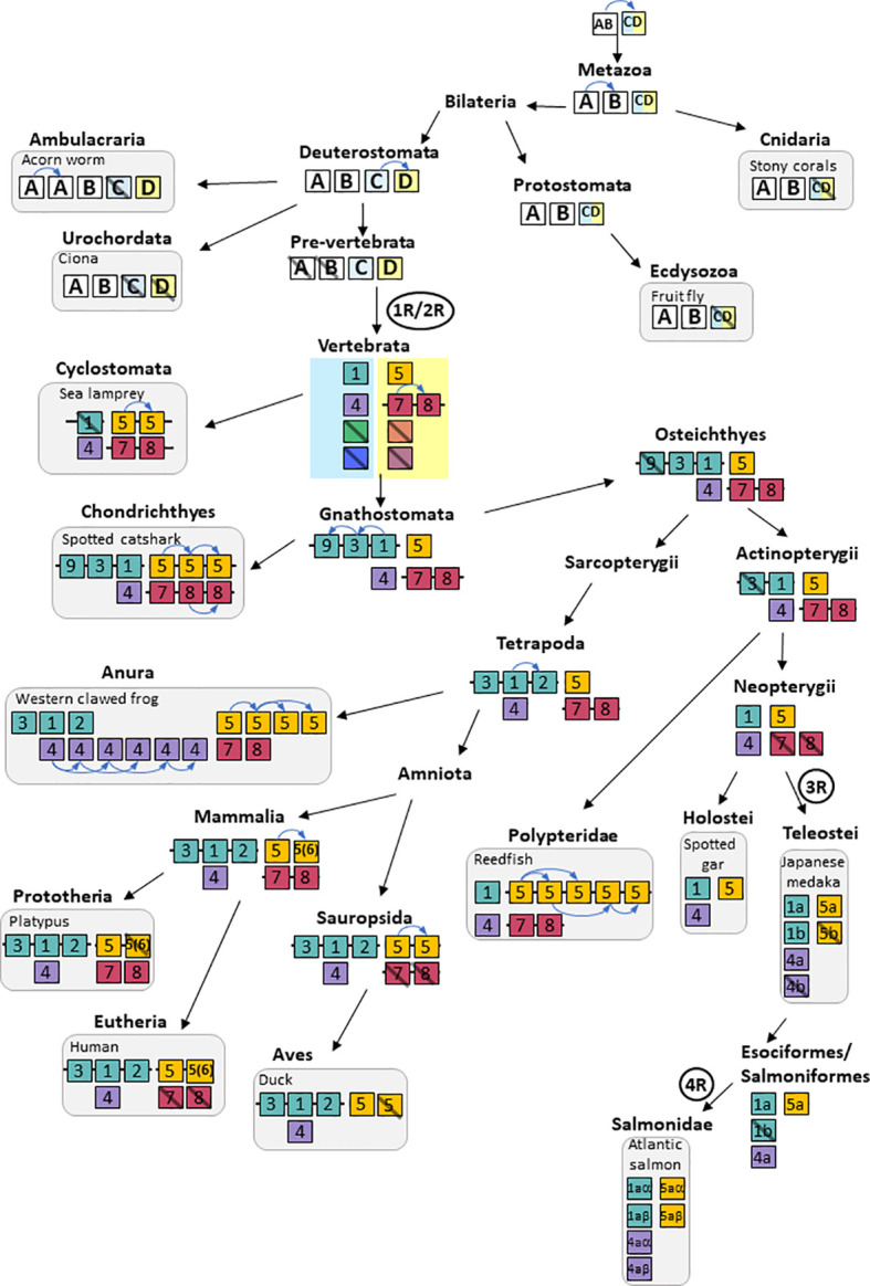 Figure 10