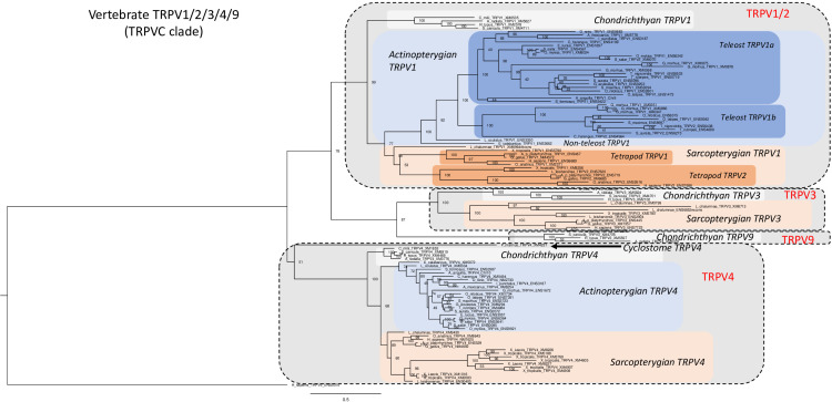 Figure 2