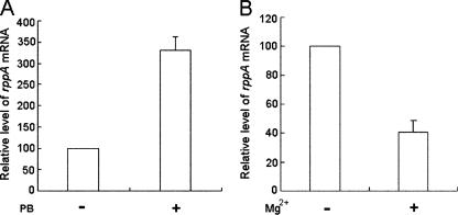 FIG. 8.