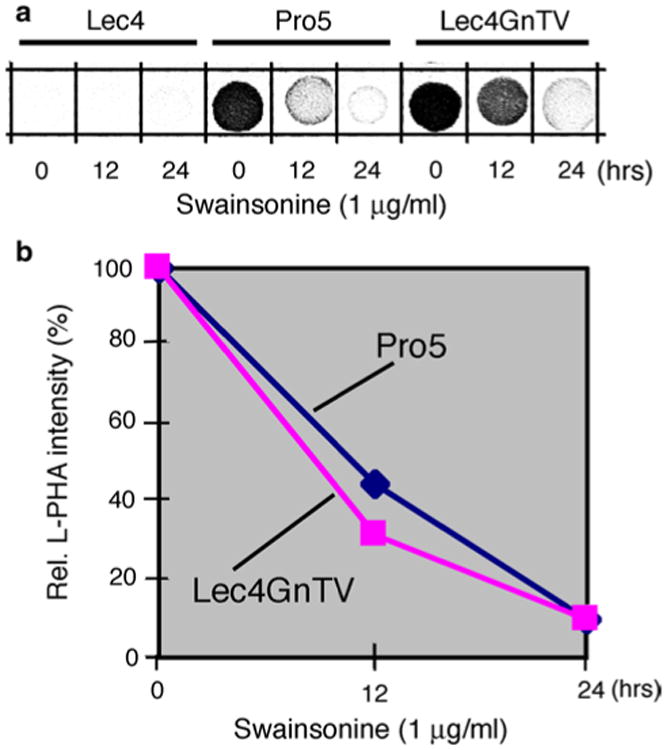 Fig. 5