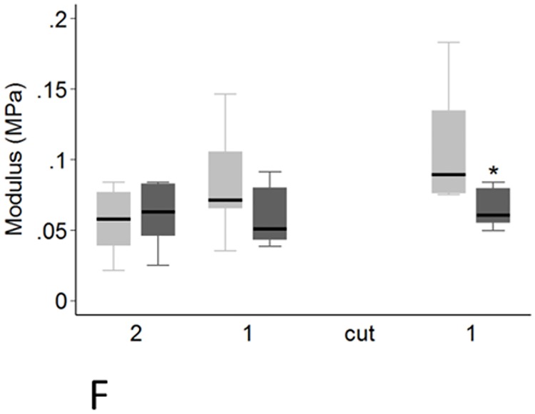 Fig 7