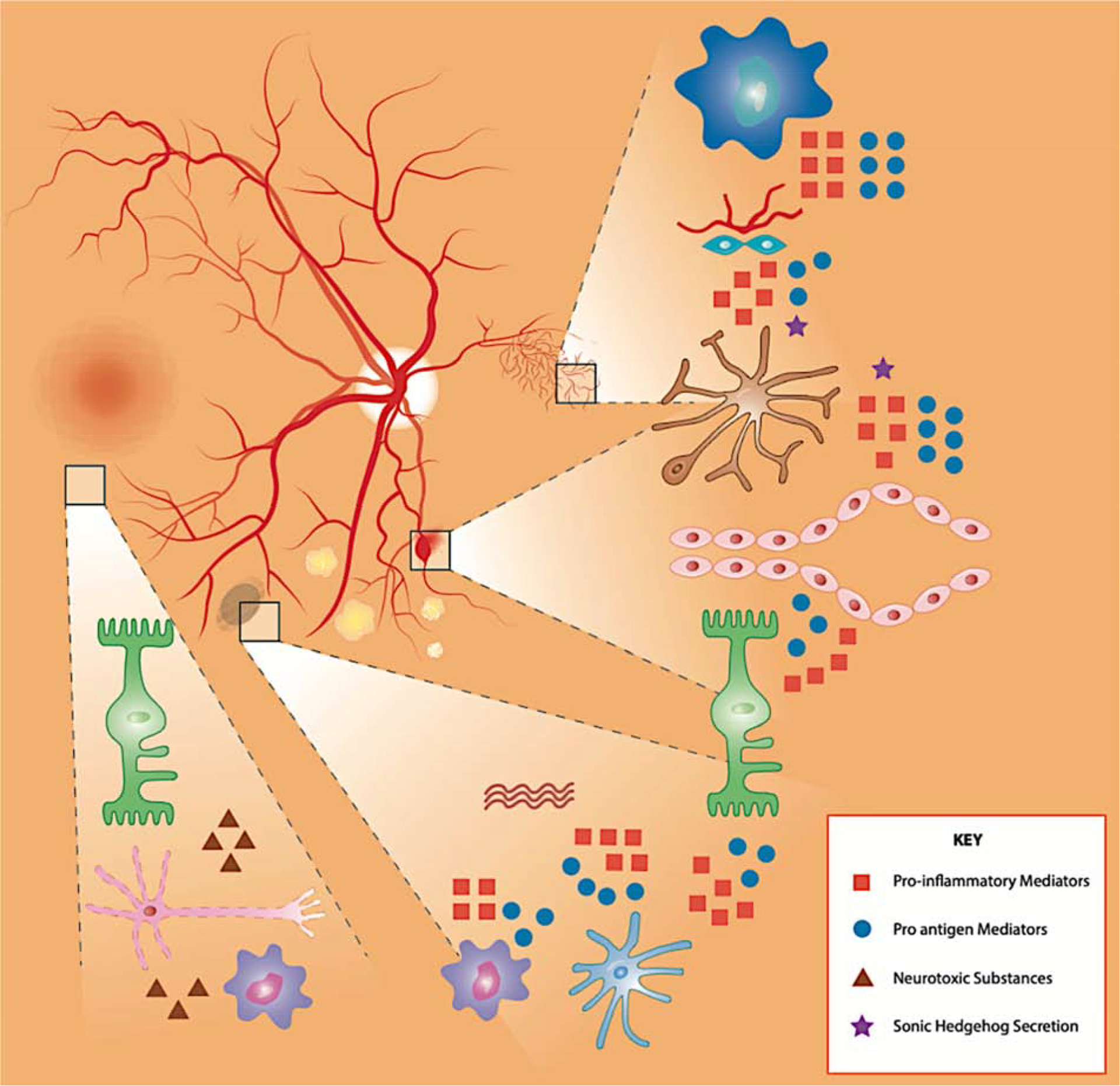 Figure 12.