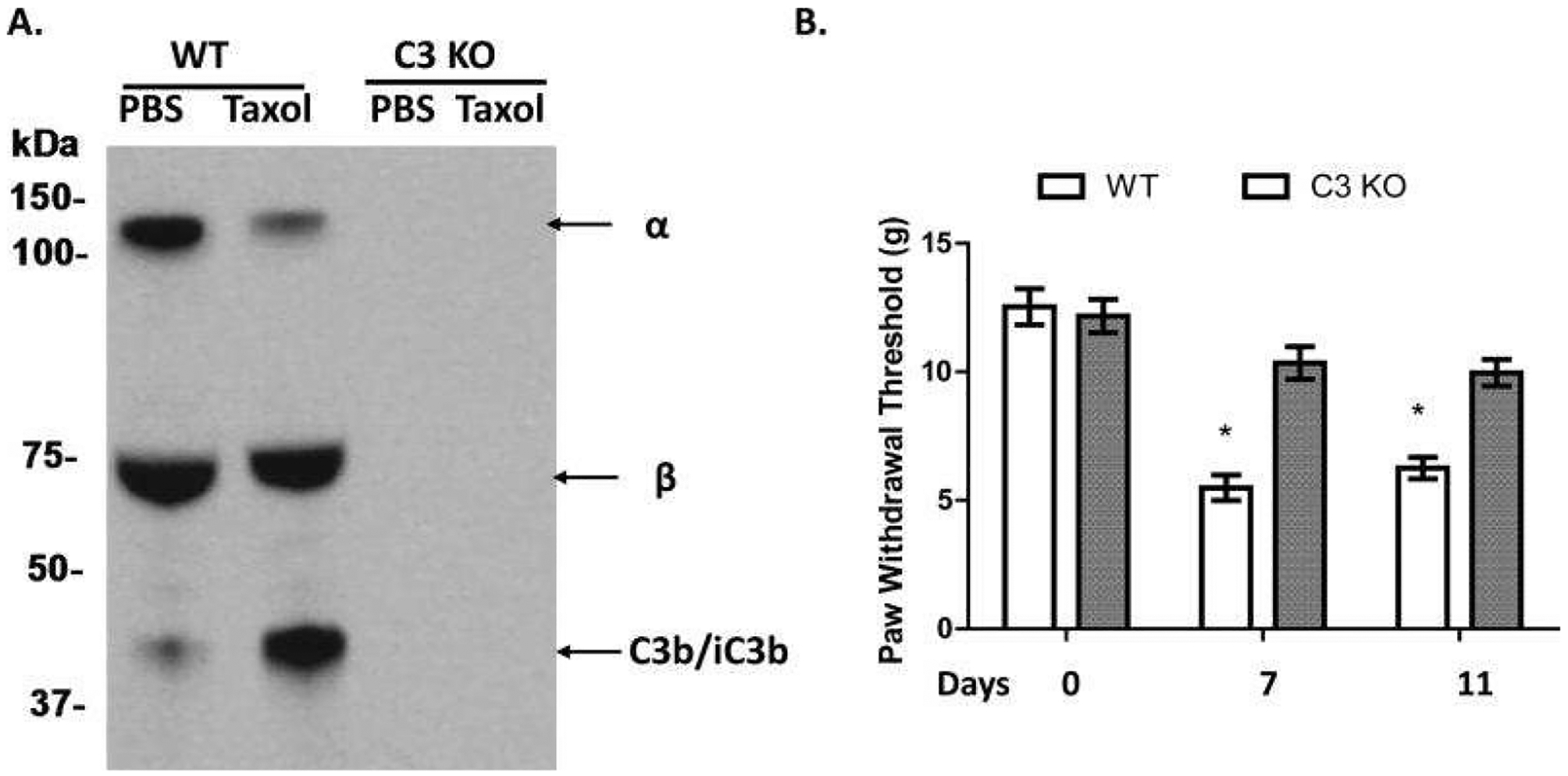 Figure 11.