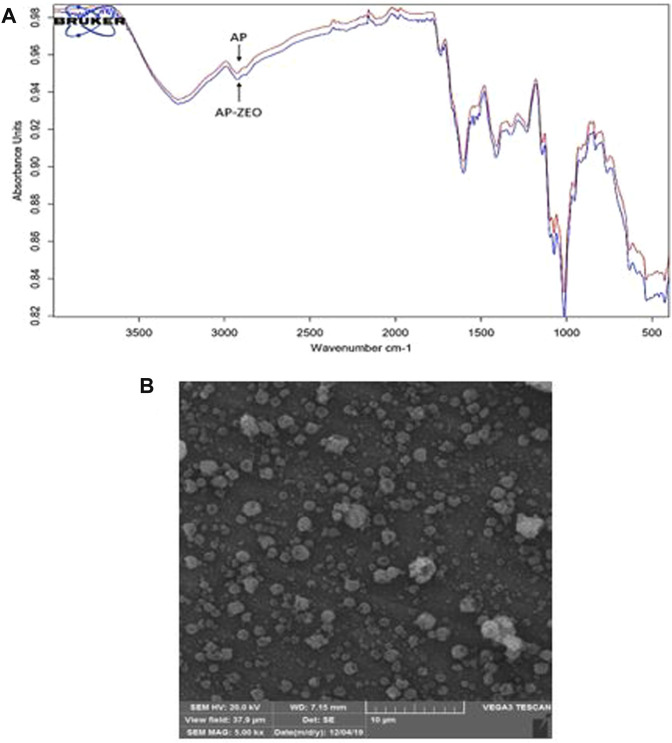 FIGURE 1