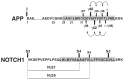 Fig. (3)